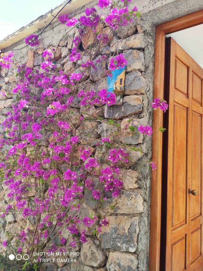 Il Piccolo Sogno In Costiera Amalfitana Villa Conca dei Marini Bagian luar foto