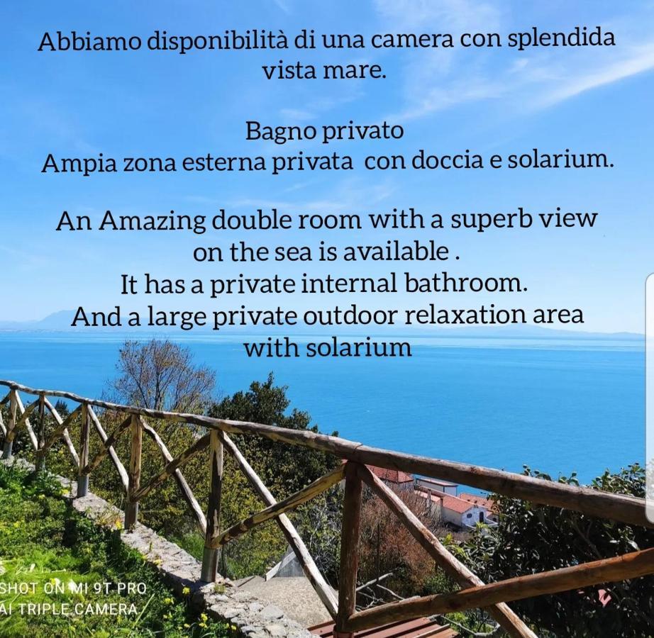 Il Piccolo Sogno In Costiera Amalfitana Villa Conca dei Marini Bagian luar foto